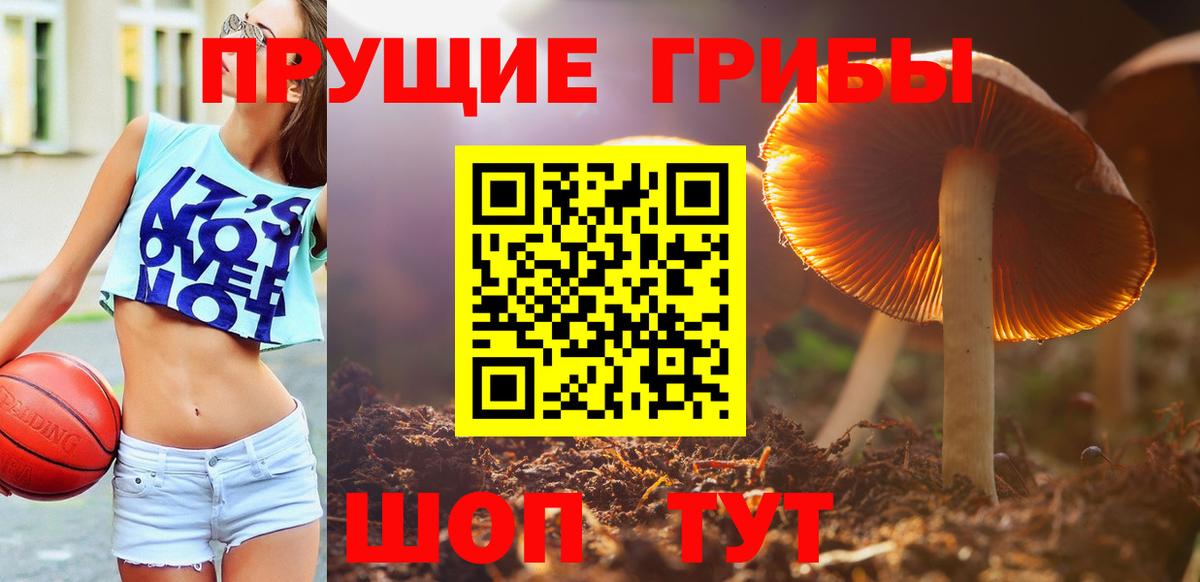 Псилоцибиновые грибы Cubensis  Псилоцибиновые грибы Magic Shrooms  Брянск  Вход с VPN 