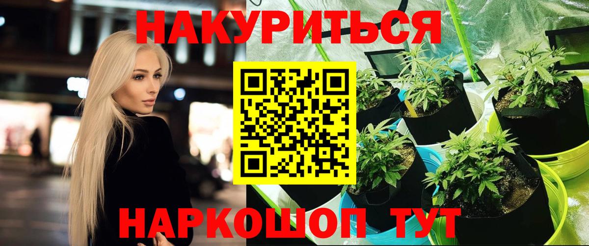 Канабис VHQ Брянск
